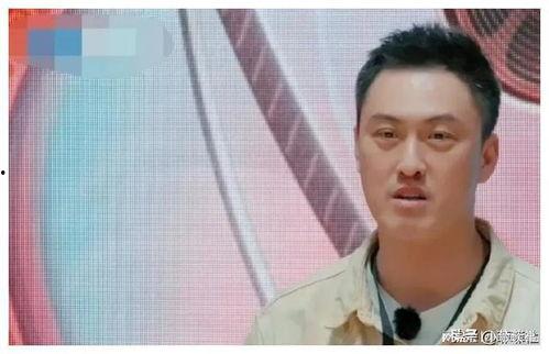 娱乐圈吃瓜爆料陈冠希,揭秘不为人知的幕后真相